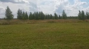 Электропастух для коз 2