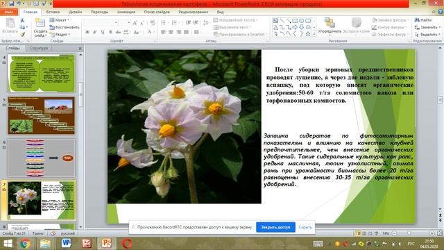 Технология возделывания картофеля. #видеоуроки