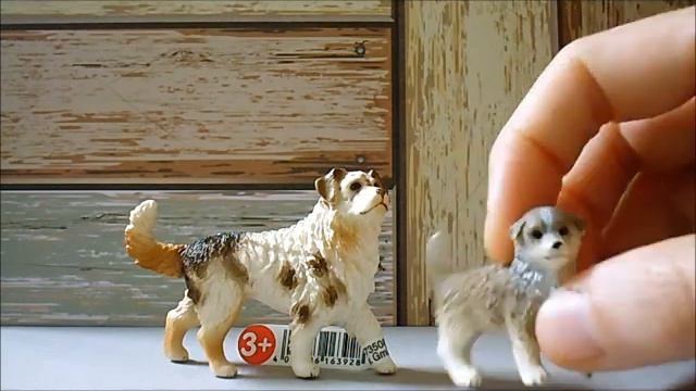 Моя коллекция собак Schleich - часть 2/ My Schleich dogs collection - Part 2