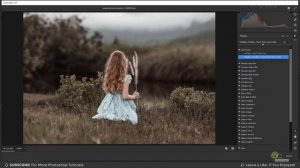 How to Import/Install Presets in Photoshop | Import XMP File | Photoshop Tutorial