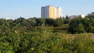 Деревня Пыхтино - Выход на мост пруда