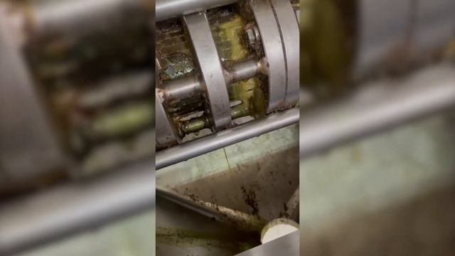 Отжим масла из семян 