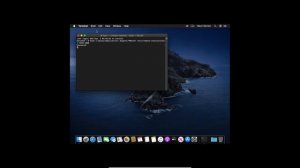 How to Increase Display Memory to 256MB in Mac OS Catalina VirtualBox & Change Screen Resolution