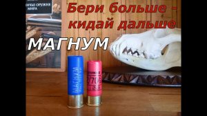 А нужен ли магнум? Что выбрать 12х70 или 12/76 ?