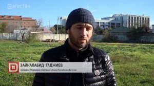 В Каспийске прошел субботник на стадионе «Труд»