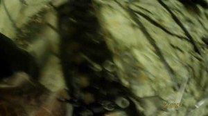 Разборка ГБЦ ВАЗ-2106 на коленях. Рассухаривание клапанов подручными средствами