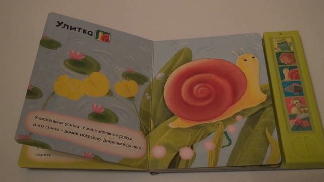 Лягушонок и его друзья