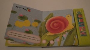 Лягушонок и его друзья