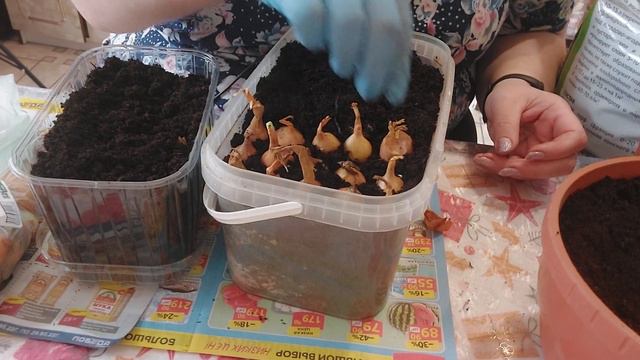 Обзавелась огородом🍅🥒🧅 смотреть онлайн