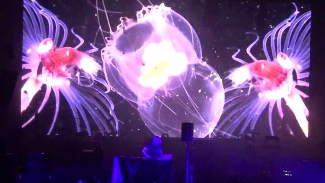 Mujuice Z-tour 2016 Уфа смотреть онлайн