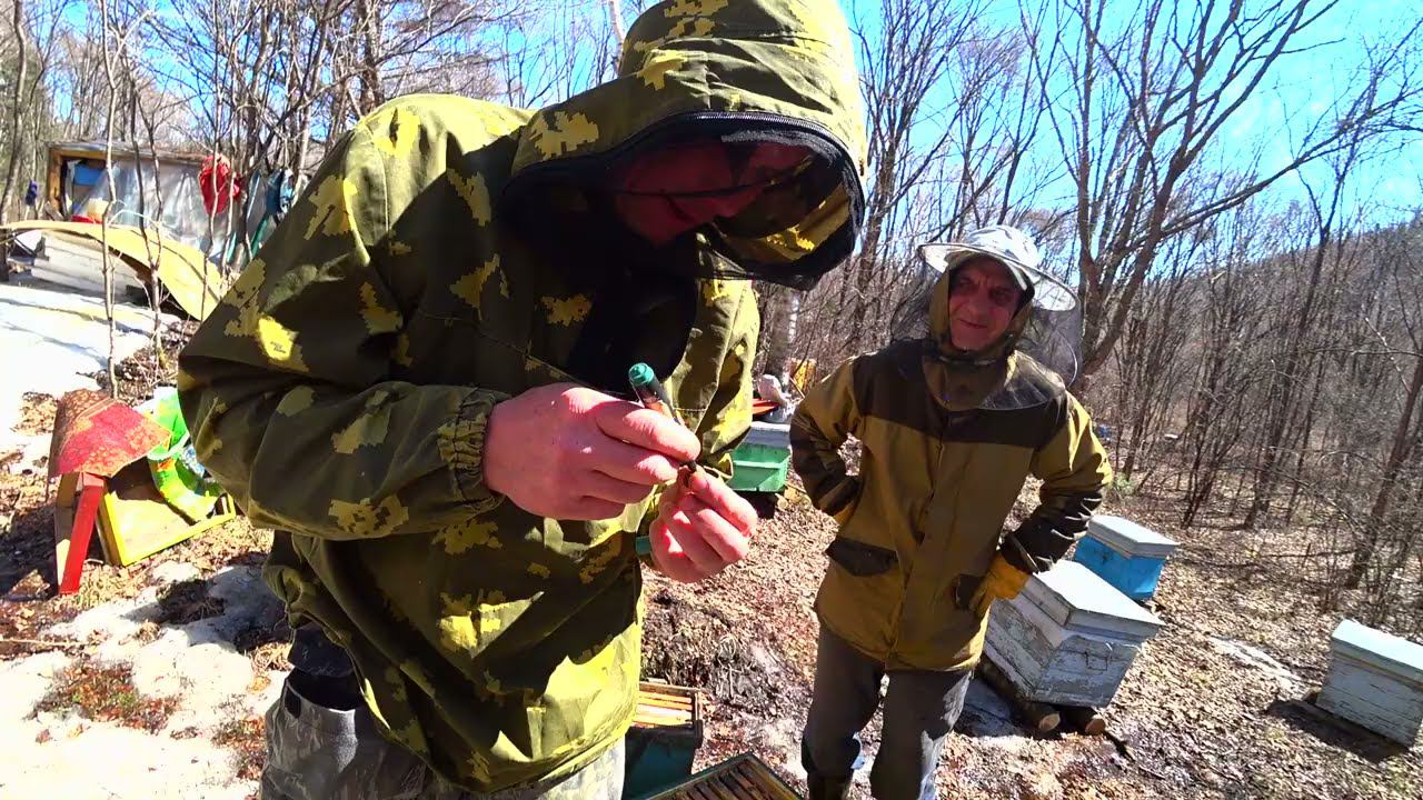 Первый осмотр пчел, подведение итогов зимовки в тайге. Готовим на гриле. смотреть онлайн