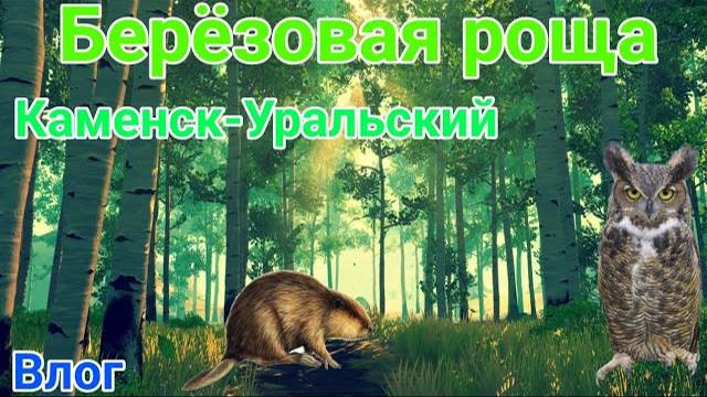 ГУЛЯЕМ В БЕРЁЗОВОЙ РОЩЕ И ВСТРЕТИЛИ СОВУ 🦉