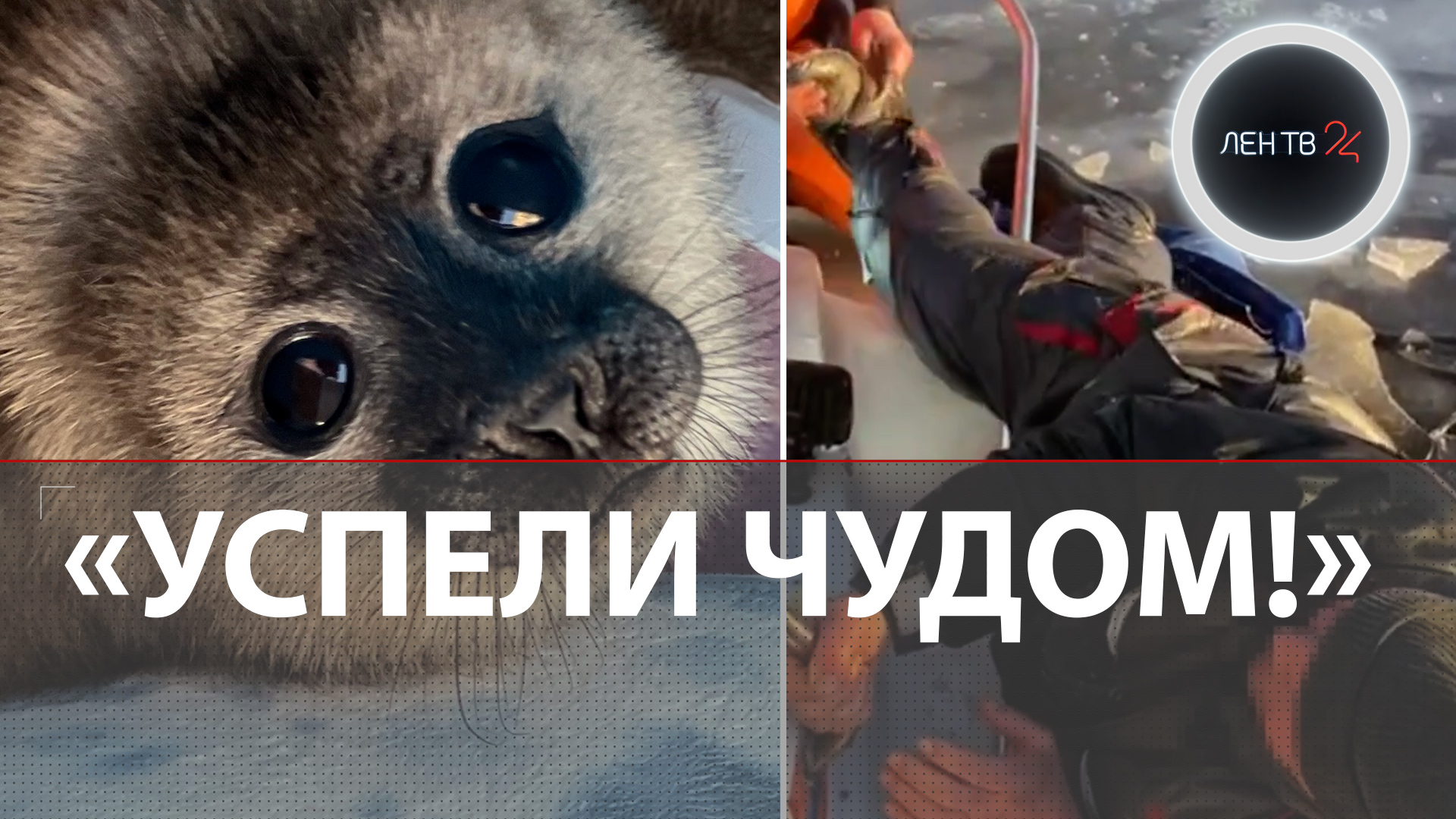 Канал пятница большие девочки 2. Канал пятница большие девочки 2. Канал пятница большие девочки 2. Канал пятница большие девочки 2. Канал пятница большие девочки 2.