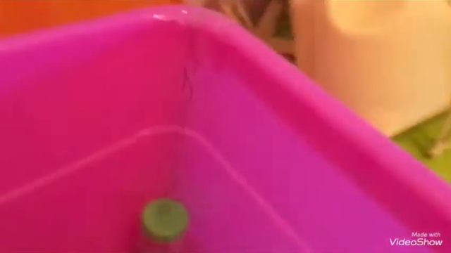 Контейнер для хомяка (дюна) переселение хомячка в новый домик!
