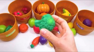 Learn the Colors with Fruits and Vegetables Matching Game