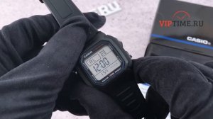 Casio W-800H-1A