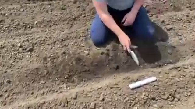 Сеялка пропашная ТСМ-8000 #сельскоехозяйство #сельхозтехника #посевная #сельхозтехника