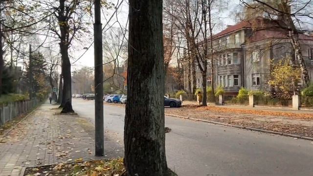 Осень в Калининграде / Гуляем по Амалиенау