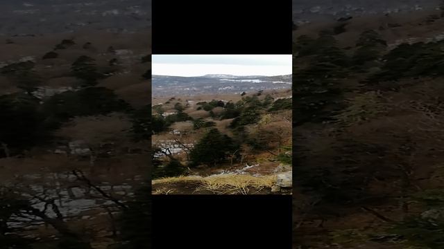 Живите в гармонии с собой и природой.