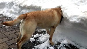 Подборка смешных видео и приколов 300? Лучшие ПРИКОЛЫ 2023