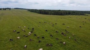 Деревня Подъельник.Пермский край. Лето 2022