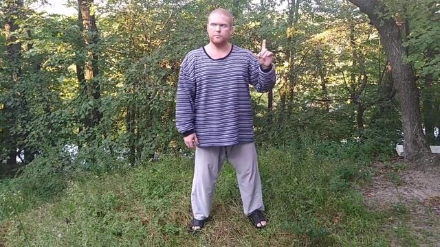 Тайцзи-цигун. Форма 7: Обернувшись назад, посмотреть на Луну. 2021. смотреть онлайн