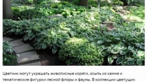 Дача в лесу или природный стиль ландшафтного дизайна