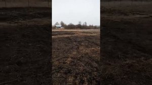 Посев люцерны с клевером по целине
