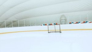 РОССИЙСКИЕ ХОККЕЙНЫЕ КЛЮШКИ•ЗАРЯД С500