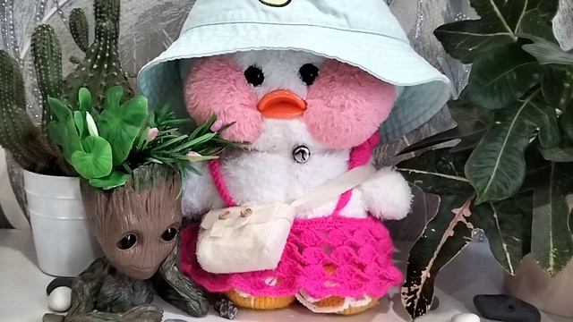 Интересные факты!