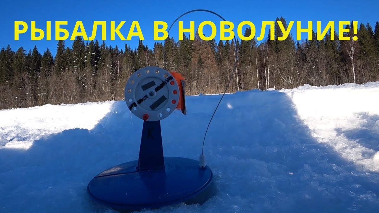 Решил порыбачить в НОВОЛУНИЕ и вот что из этого вышло! Жерлицы. Мормышка. Щука. Окунь..mp4