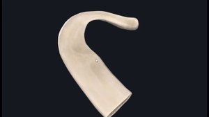 Первое ребро (Costa prima) 3D Анатомия