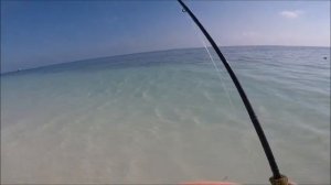 Bonefish - Cayo Guillermo - Cuba 2019