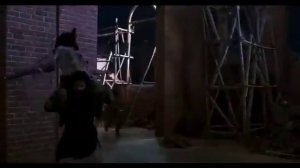 Видео от МЕМЫ