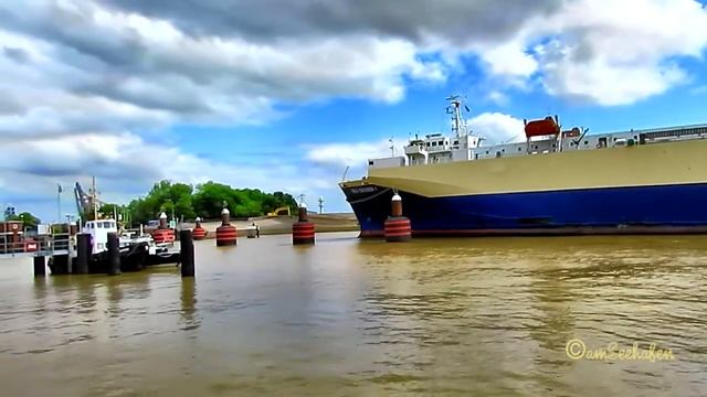 car carrier SEA CRUISER 1 3EAT5 IMO 8817100 inbound Emden Germany Autotransporter