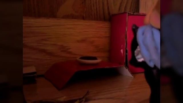 Тайное всегда становится явным смотреть онлайн