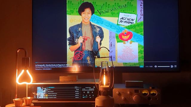 바이올린 La Campanella - Grandes Etudes de Paganini, S. 141-3 - Vanessa Mae смотреть онлайн