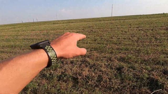 Уборка гороха НС " МОРОЗ " 2021 . Половина урожая осталась на поле . Нива СК 5 смотреть онлайн