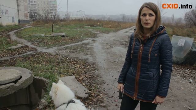 Открытые люки: мнение жителей смотреть онлайн