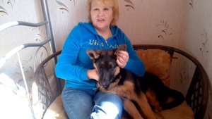 Клещ у собаки. Оказание первой помощи.