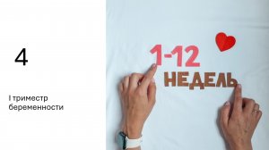 Первый триместр беременности