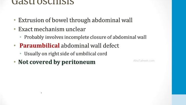 Гастроэнтерология USMLE - 1. Анатомия - 1.Эмбриология желудочно-кишечного тракта