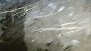 волшебная яма...мы были в шоке когда увидели сколько там.......mp4