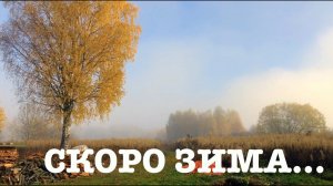 #112. Почему не оставили собаку? Подготовка теплицы к зиме. Заброшенный дом. [Жизнь на своей земле]