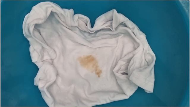 ?Как отстирать ягоду с одежды.Я проверила ОЧЕНЬ ПОПУЛЯРНЫЙ ЛАЙФХАК,но результат меня УДИВИЛ смотреть онлайн