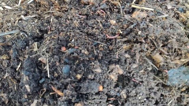 Биогумус от червя старатель/Переезд червячков на улицу/Червячник 2020 год смотреть онлайн