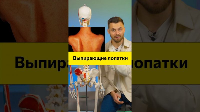 ✅ Для сутулых с выпирающими лопатками➡️ ПРИЧИНА: слабая передняя зубчатая мышца❤️ПОКАЗАТЬ ЕЩЕ?