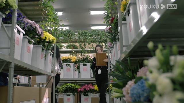 【FULL】一千零一夜 Sweet Dreams EP14 | 迪丽热巴/邓伦/祝绪丹/陈奕龙/王瑞子/张昊唯/傅迦/杨昆/谢君豪/卢星宇 | 偶像/都市 | 优酷宠爱剧场 YOUKU ROMANC