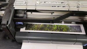 Тестовая печать на плоттере HP после ремонта