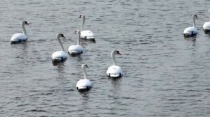 Экипажа PAL ИЖФИШ на весенней РЫБАЛКЕ в АСТРАХАНИ / НАУЧИ МЕНЯ